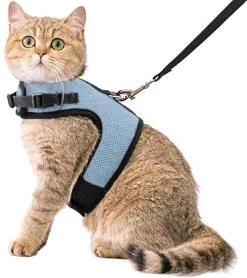 Kattentuigje Met Leiband Riem Kattenharnas Blauw Variant Maat L Kat & Kitten – Dieren Kattenriem – Cat Leash – Halsomvang 24 Tot 33cm – Borstomvang 36 Tot 41cm – Zootic®