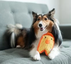 Stevige Knuffel Voor Kleine Honden Met Jumbo Pieper – Outward Hound Invincibles – Chicky Geel / Penguin Blauw Of Puppy Bruin – Chicky Geel