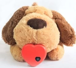 Knuffel – Hartslag – Heartbeat – Moederhond – Puppy – Puppie – Hond