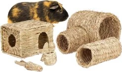 Relaxdays Konijnen Speelgoed – Set Van 5 – Knaagdier Speeltjes – Kooiaccessoires – Cavia