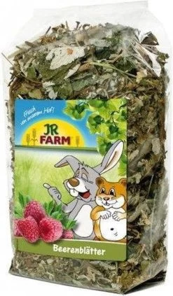 JR Farm Bessenbladeren 100g
