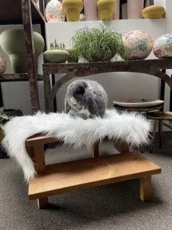 Konijnen Speelgoed – Handgemaakt – Knaagdieren Speelgoed – Duurzaam – Diervriendelijk – Irisfransjes