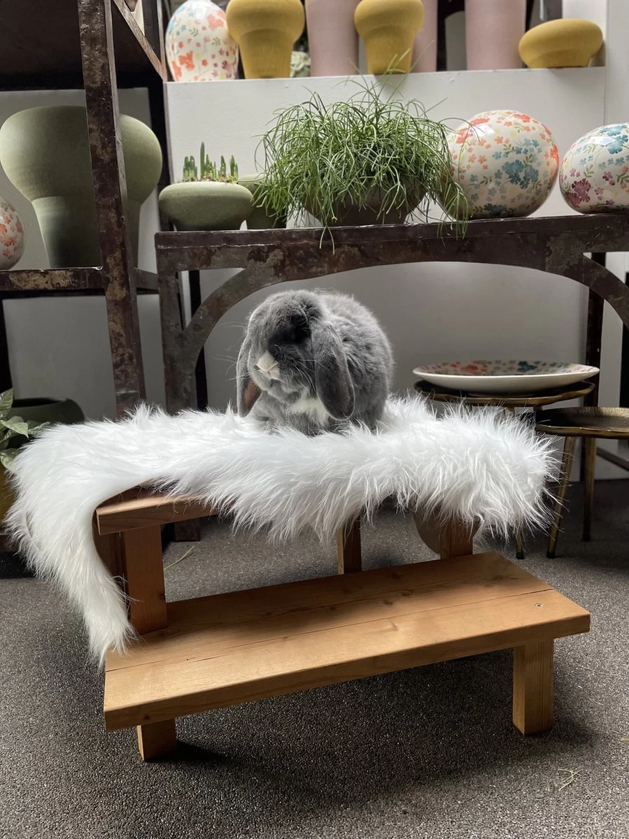 Konijnen Speelgoed – Handgemaakt – Knaagdieren Speelgoed – Duurzaam – Diervriendelijk – Irisfransjes